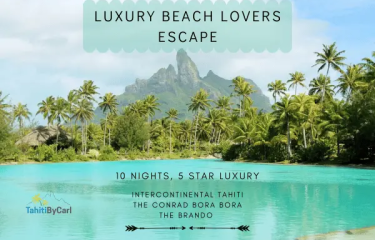 When to visit <i>The Islands of Tahiti</i> ?” width=”375″ height=”240″>    </picture>
                    </a>
    </div>
    <div class=