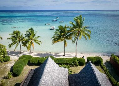 Steal Away in Paradise