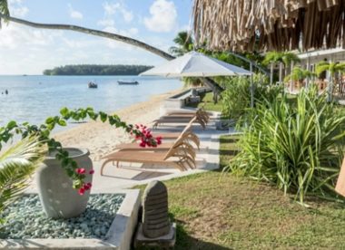 Polynesian Guesthouse Escape