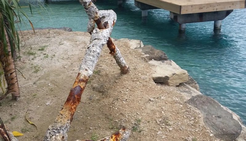Multi-Island Discovery