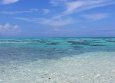 Multi-Island Discovery