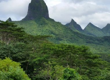 Multi-Island Discovery