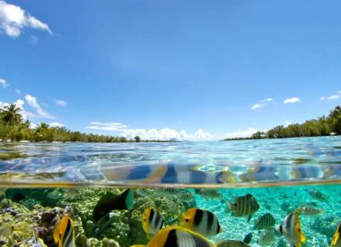 Tahiti Yoga Festival – Tranquility in Paradise