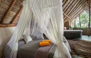 All the Vacation Packages
