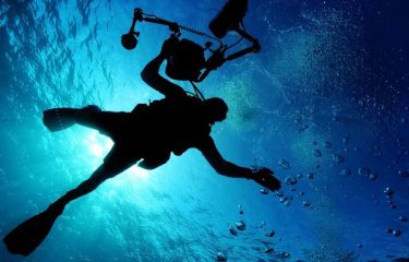 Diving in Tahiti