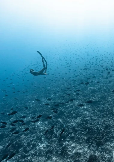Things to do in Fakarava