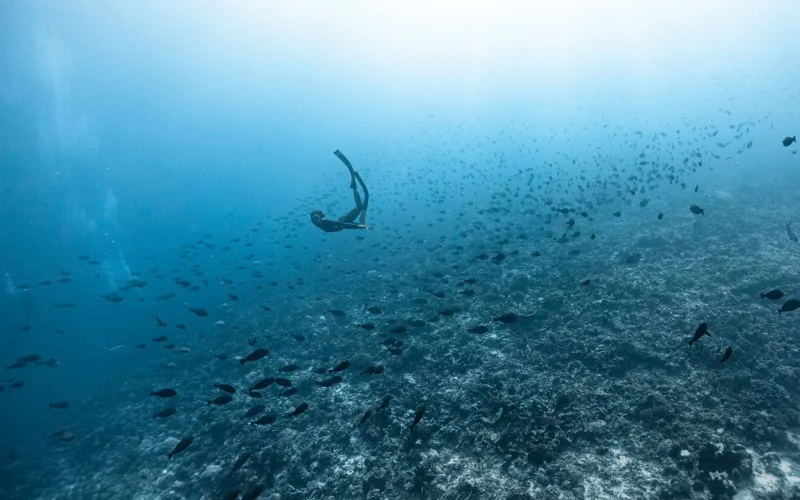 Activities in Fakarava