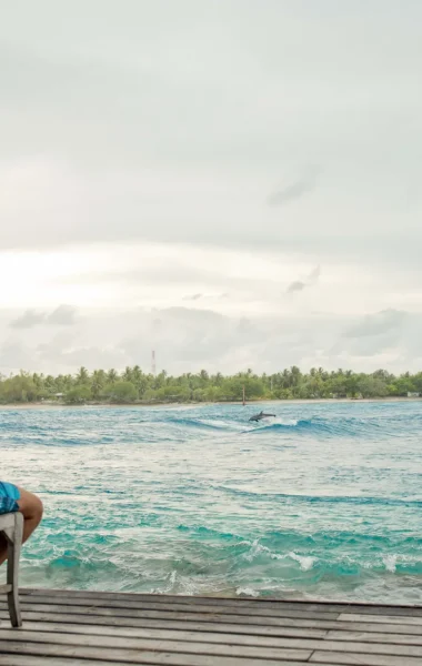 Dolphin watching at Rangiroa © Hélène Havard