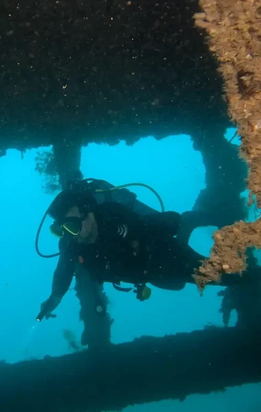 Norby wreck © Marie Charlotte Ropert