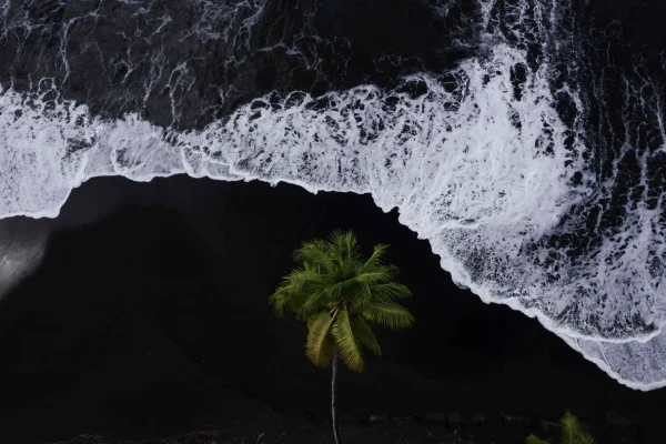 Volcanic Black sand beach in The Islands of Tahiti located on the east coast of the island© Jim Winter