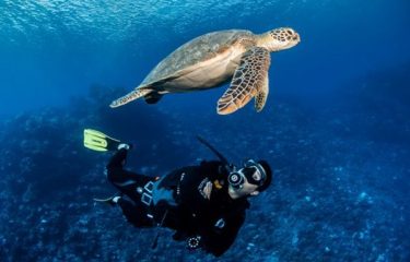 Diving in Tahiti