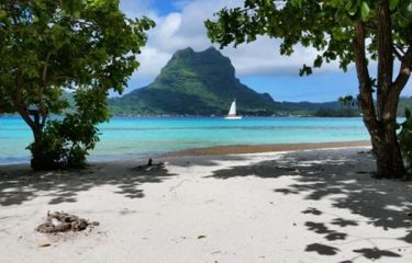 All the Vacation Packages