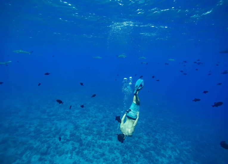 Diving Raiatea © Grégoire Le Bacon