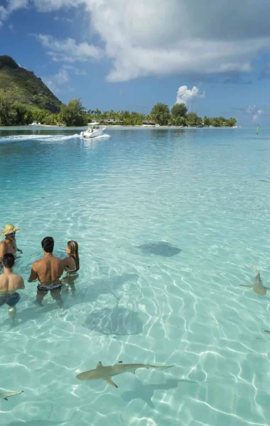 Visit the rays and sharks © Grégoire Le Bacon