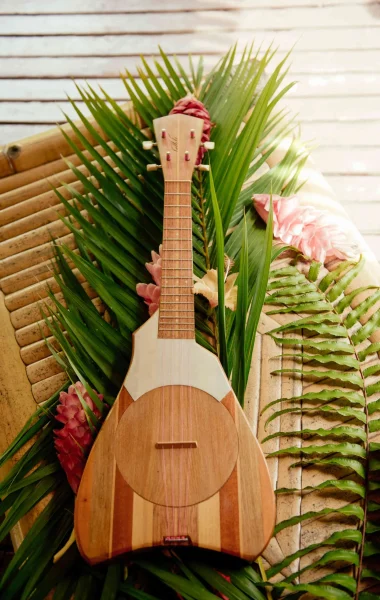 Ukulele© Hélène Havard