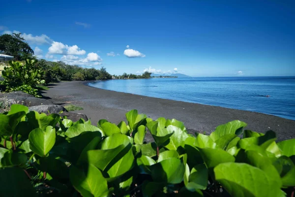 Tour of the island of Tahiti – The spots you must see