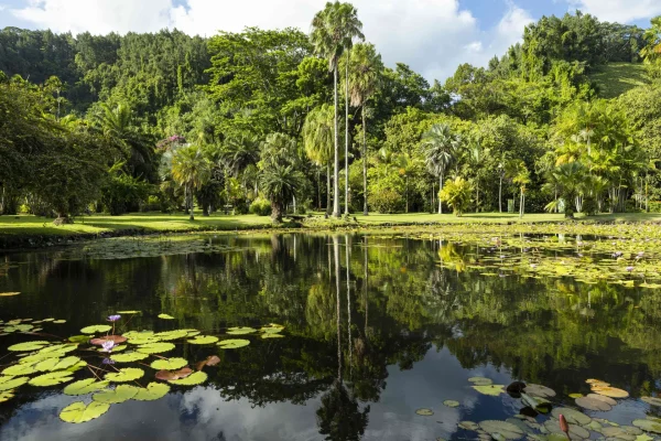 Tour of the island of Tahiti – The spots you must see