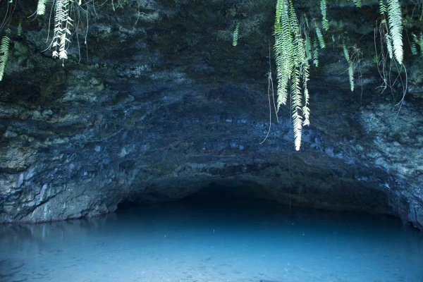 Tour of the island of Tahiti – The spots you must see