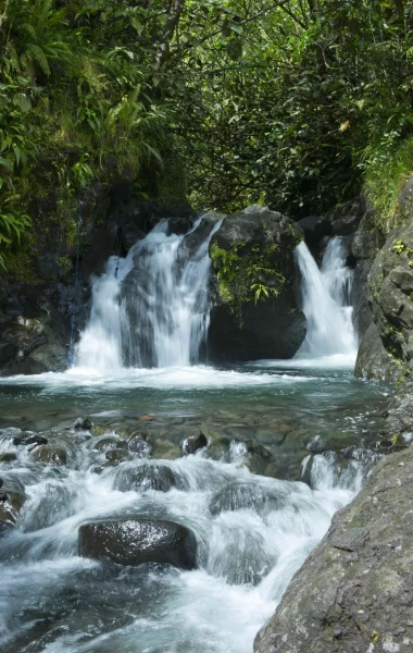 Tahiti’s Natural Heritage
