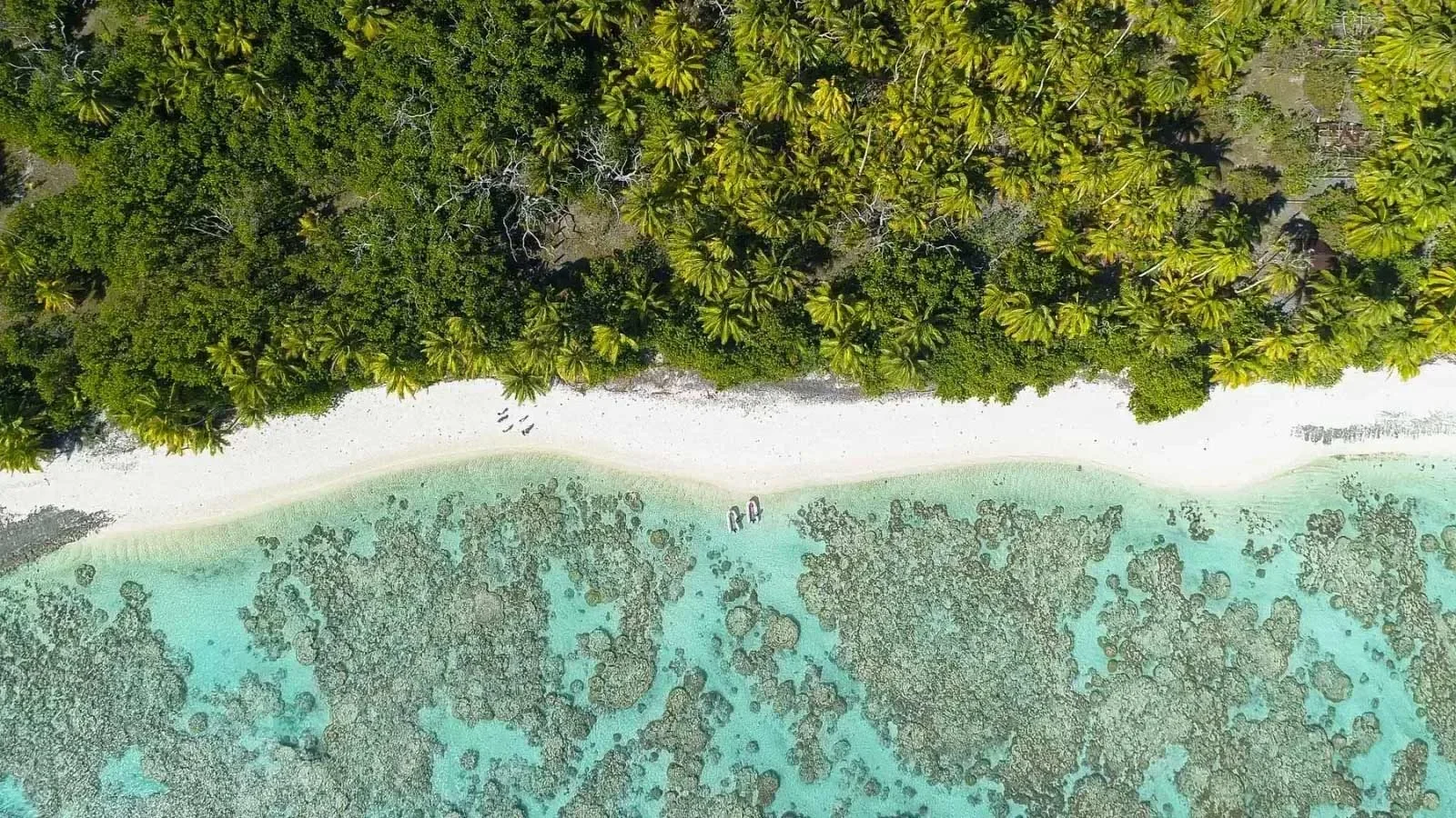 tourism in tahiti