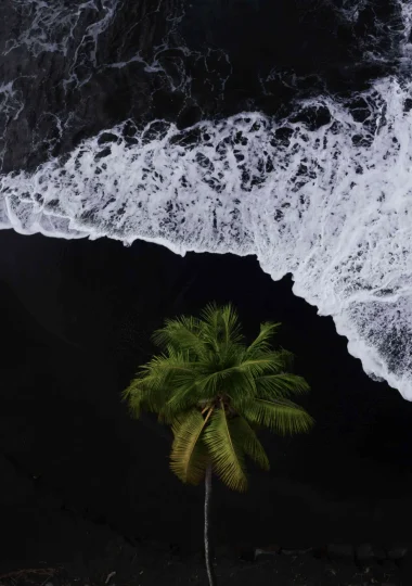 Black sand beach in The Islands of Tahiti © Jim Winter