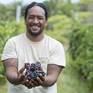 Rangiroa wine is produced from vines grown directly on the island © Grégoire Le Bacon