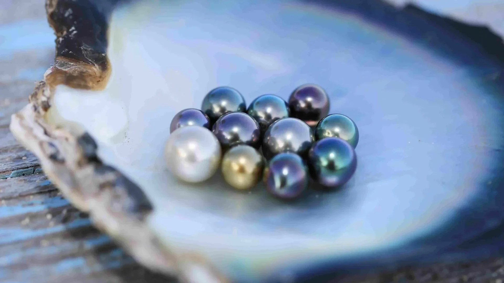 Tahitian cultured pearls come in a variety of colors and shapes © Gregoire Le Bacon