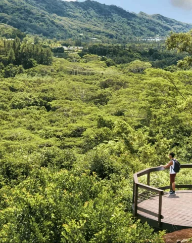 Point de vue panoramique du jardin de botanique de Faaroa © Alika Photography