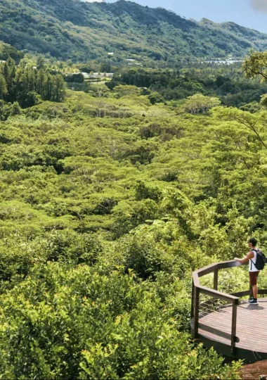 Point de vue panoramique du jardin de botanique de Faaroa © Alika Photography