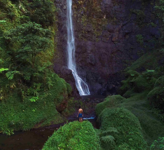 Puraha waterfall in Papenoo © Karl Shakur