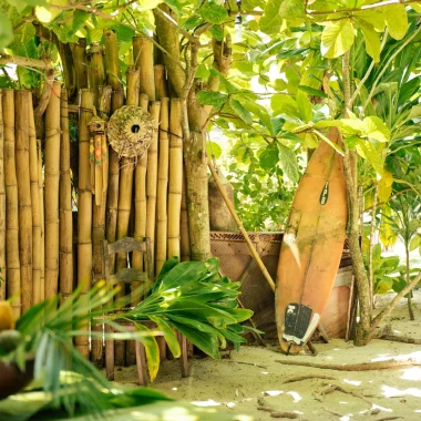 Surfing guide for beginners