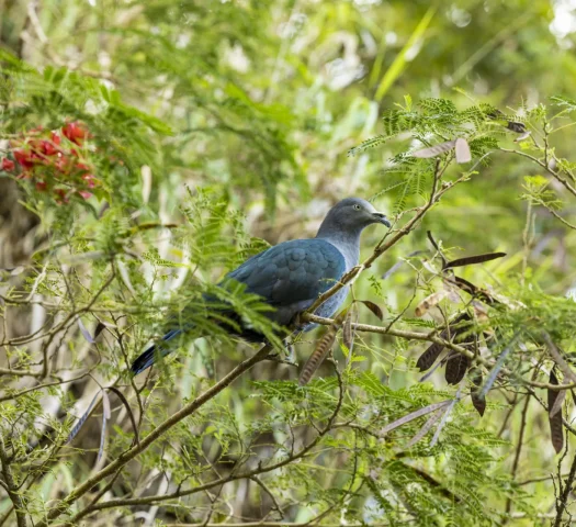 Untamed, preserved nature