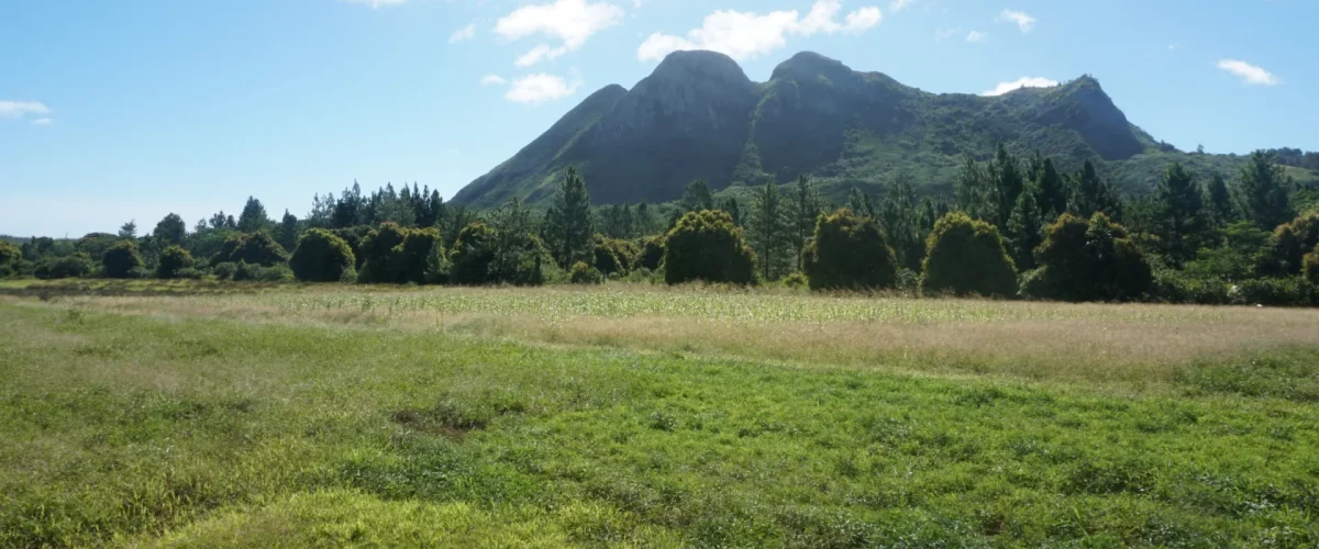 Mount Taitaa in Tubuai © Léa Parizot