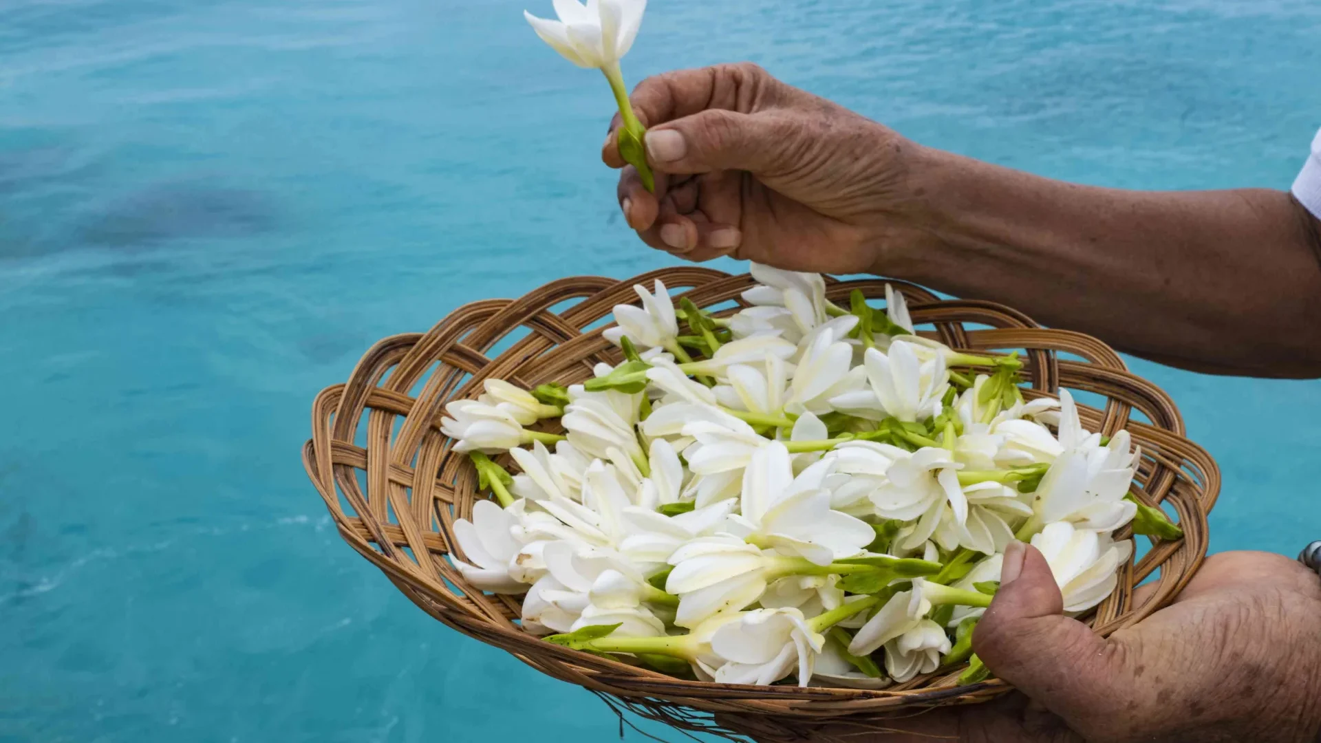 Tiare Tahiti basket © Holger Leue-