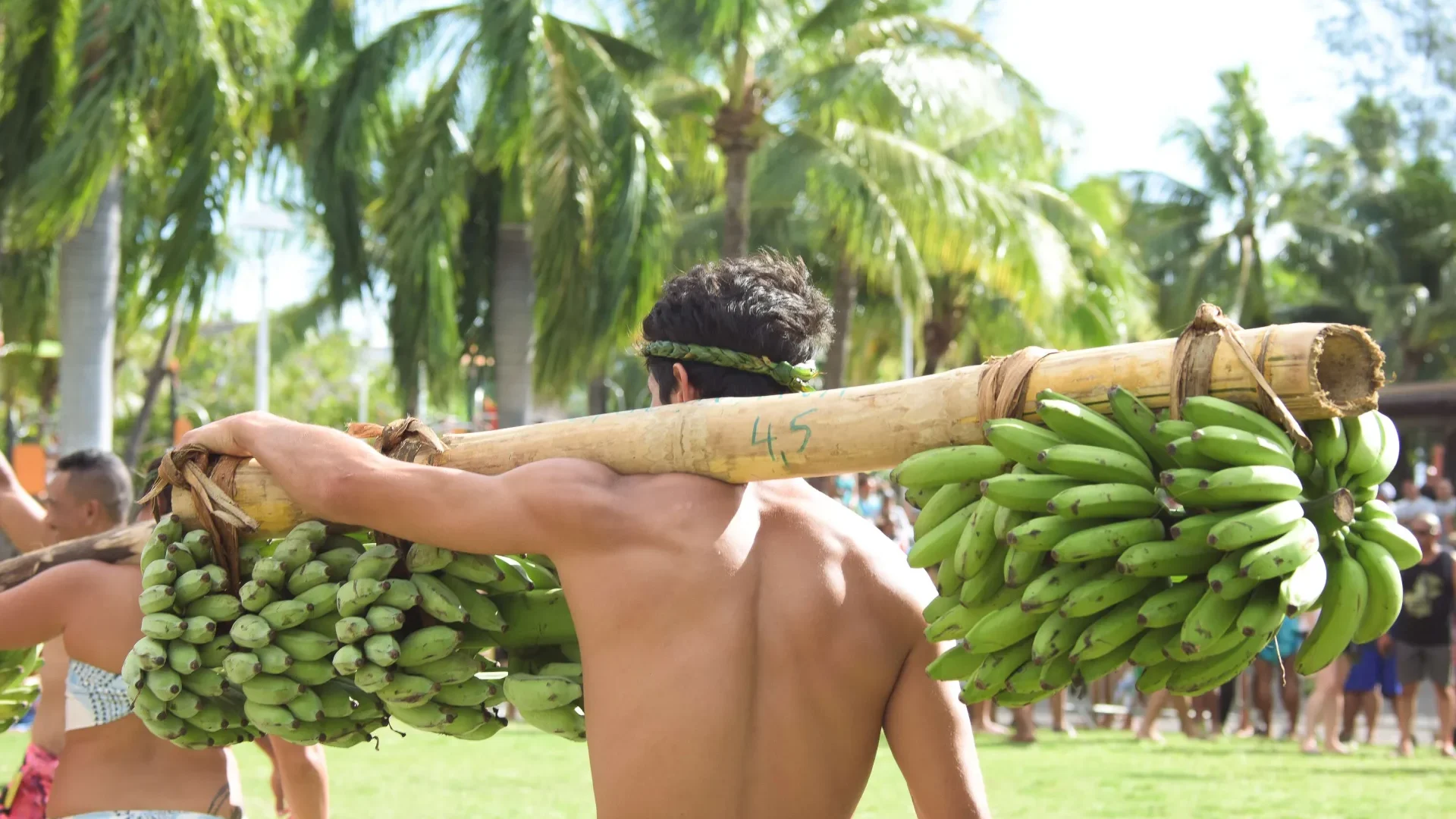 Back fruit carrier with banana bunches © Teriitua Maoni