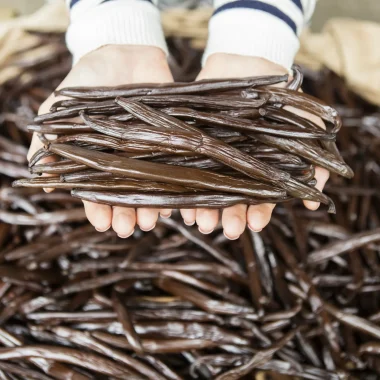 Visit a vanilla platation in Taha’a