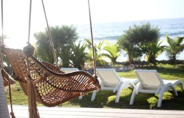 All the Vacation Packages
