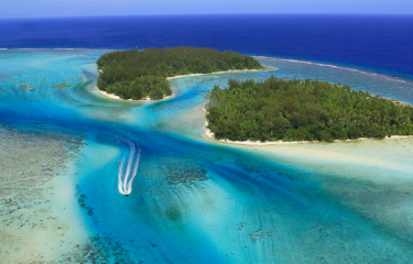 All the Vacation Packages