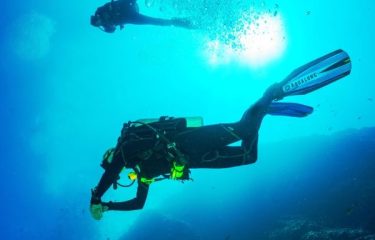 Diving in Tahiti